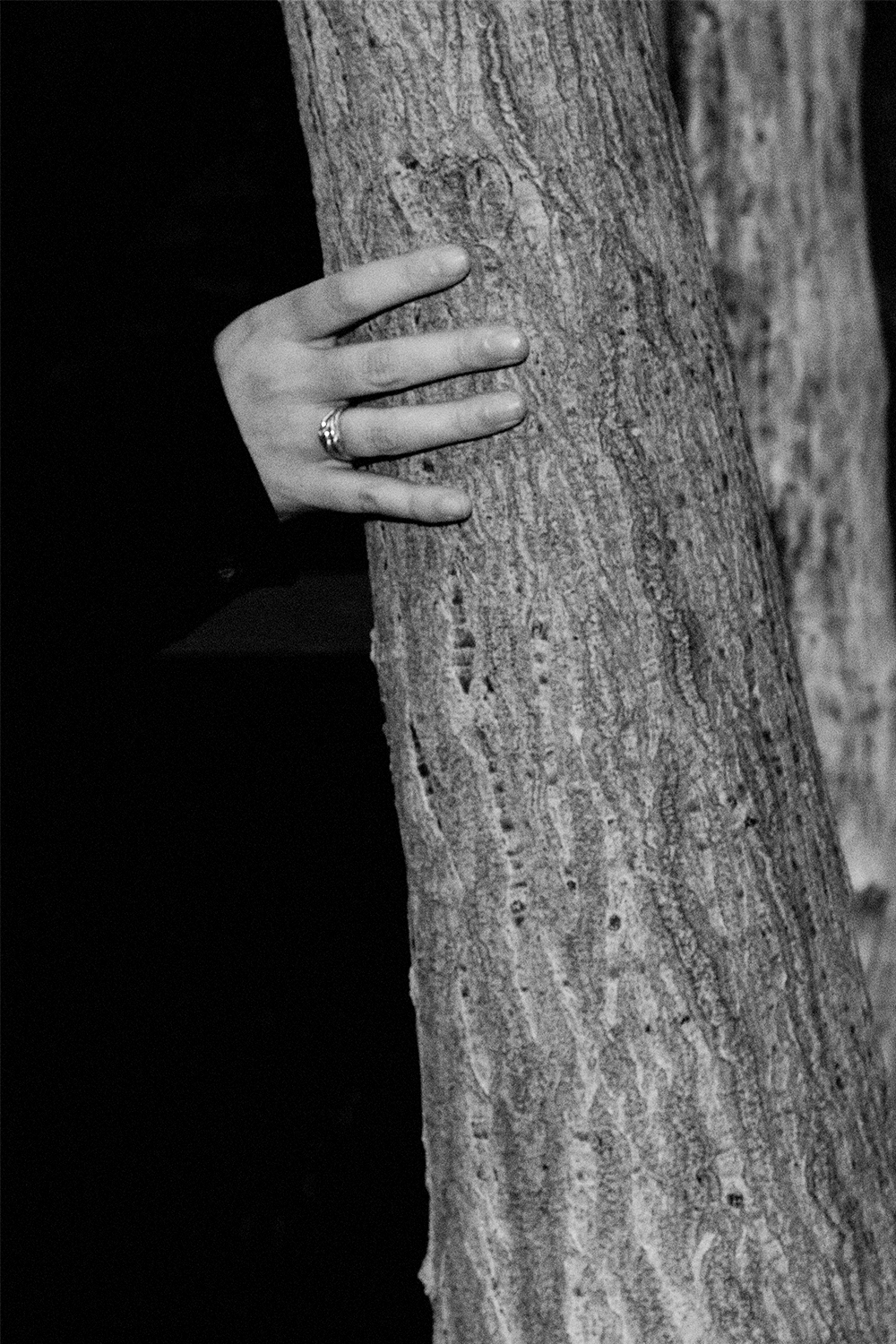 photo de main sur un tranc de la série photographique 'Il ne reste plus qu’à s’enraciner ensemble'